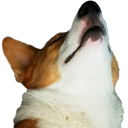 waffleshype Discord emoji