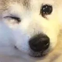 WinkingBOYE