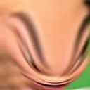 nogis