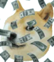 DogeMoney