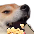 dogPopcorn