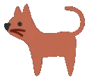catspin