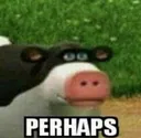 perhaps perhaps