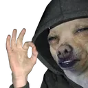 doggoOk