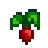 Radish