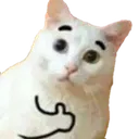 ok_kitty