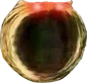 omegacat omegacat
