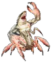shrab