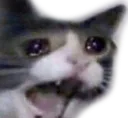 AAAAAAA