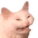 cate
