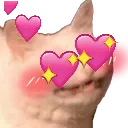 CateHeartEyes CateHeartEyes
