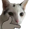padthink padthink