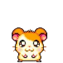 ahamtaroCheer