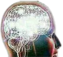 whom