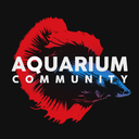 ac_logo2 Discord emoji