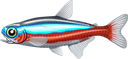 cardinal_tetra Discord emoji