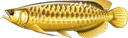 arowana