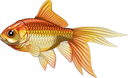 goldfish Discord emoji