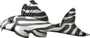 pleco Discord emoji