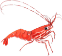 shrimp2 Discord emoji