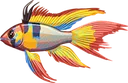 ram_cichlid