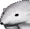 Bearstare