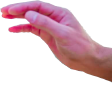 YanPet Discord emoji