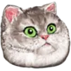 fat_cat Discord Emoji