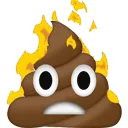 poopfire