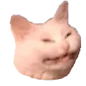 Cat Head Discord Emoji