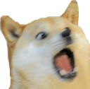 :dogescream: