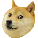 twitch_wat