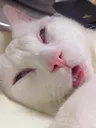 Asleep