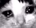 CryingCat
