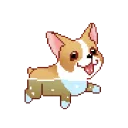 swimu swimu