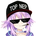 nepswag