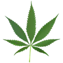 ganja