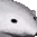 Polar
