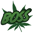 thehig2BOSS