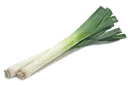 leek