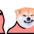 aCehDogeDance aCehDogeDance
