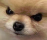 angery