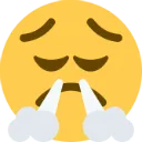 pensive_triumph