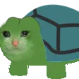 meowturtle
