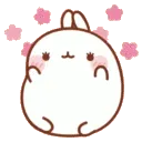 fish_shy fish_shy