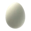 egg_edible