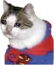 sadsupercat