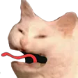 catREEE