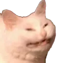echcat