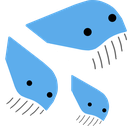 :whalecum: Discord Emote